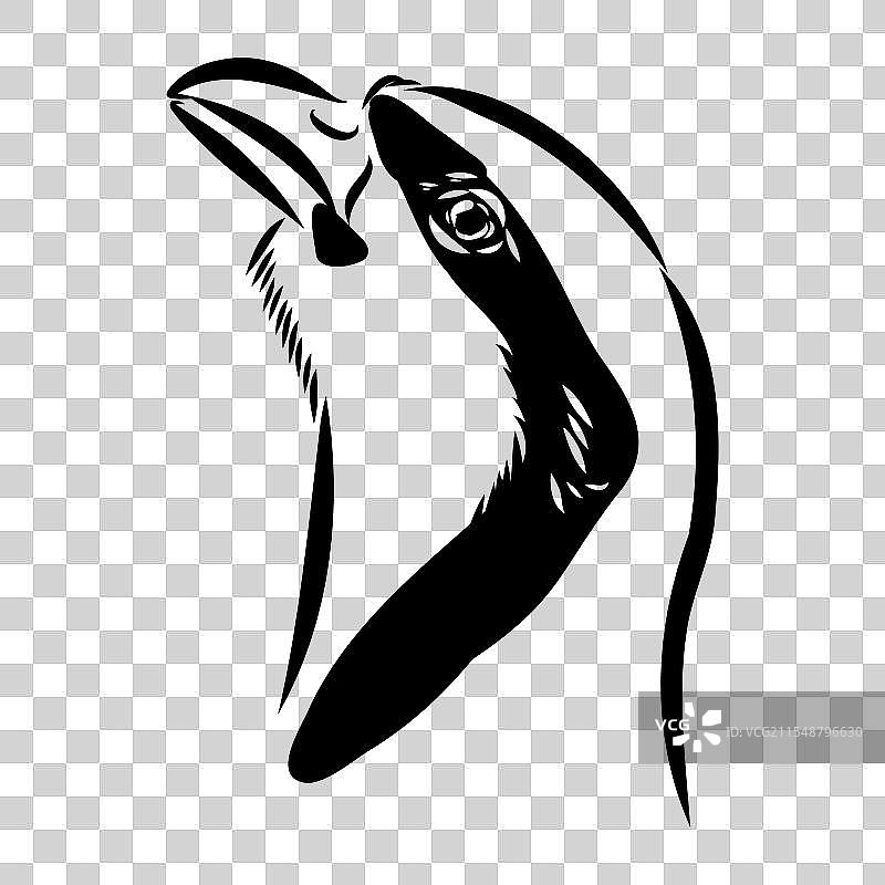 亚洲鹧鸪素描图片素材