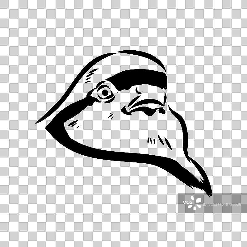 亚洲鹧鸪素描图片素材