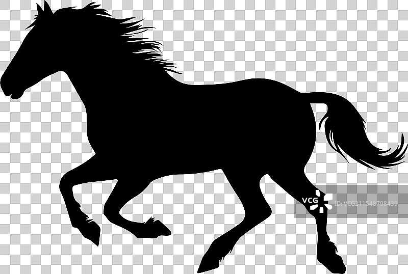 赛马的马匹剪影图片素材