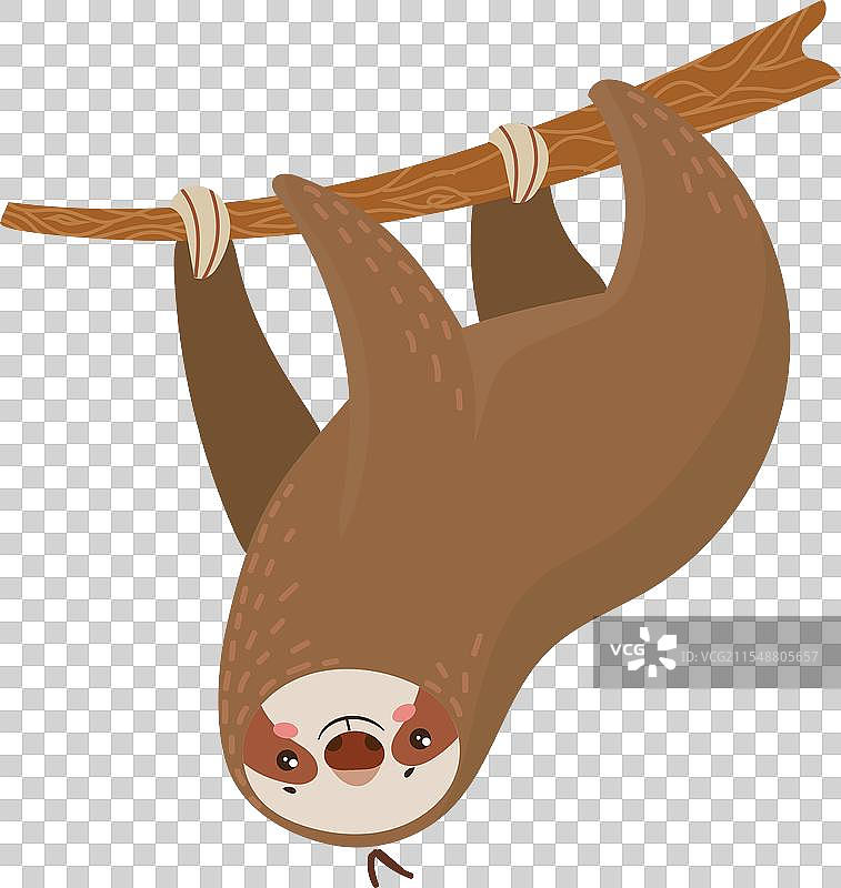 可爱的卡通树懒倒挂在一根树枝上图片素材