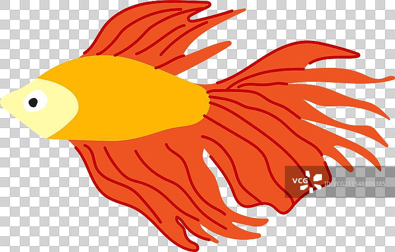 异国情调的鱼类卡通小丑鱼图片素材