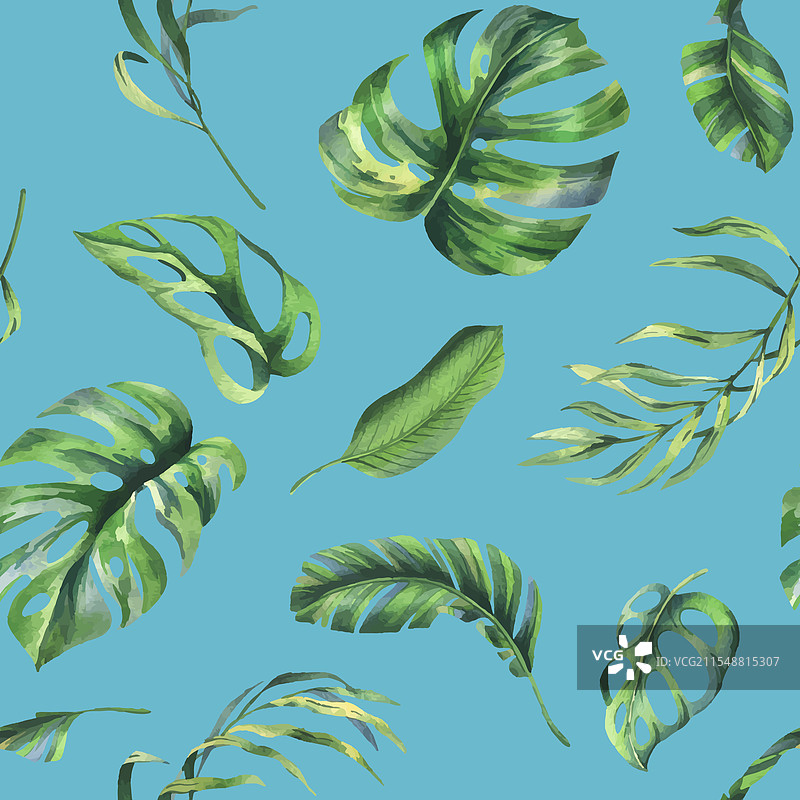 热带椰子香蕉棕榈叶和怪兽植物叶图片素材