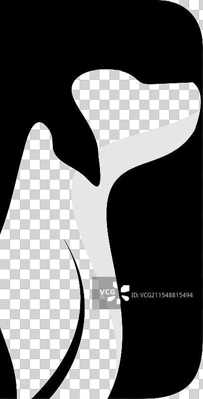 狗动物字母D标志图片素材