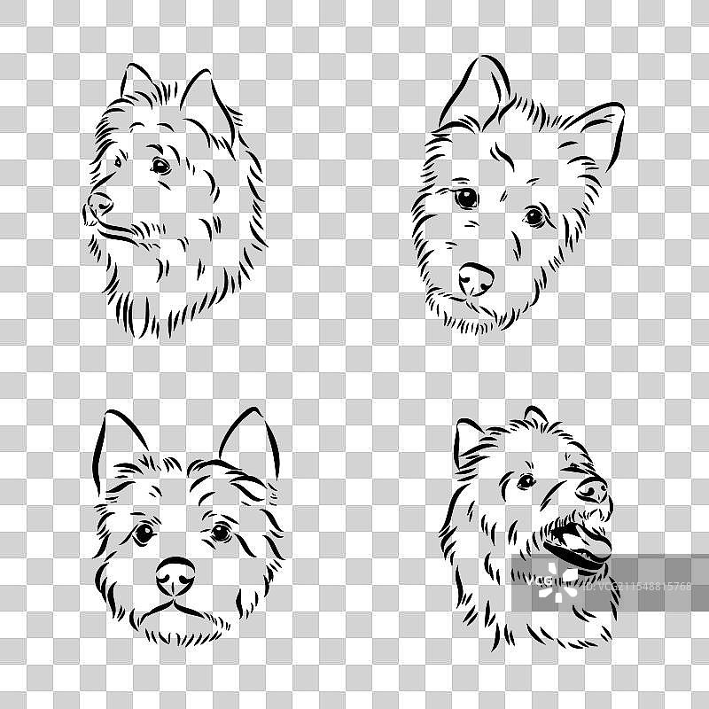 澳大利亚犬的装饰性轮廓肖像图片素材