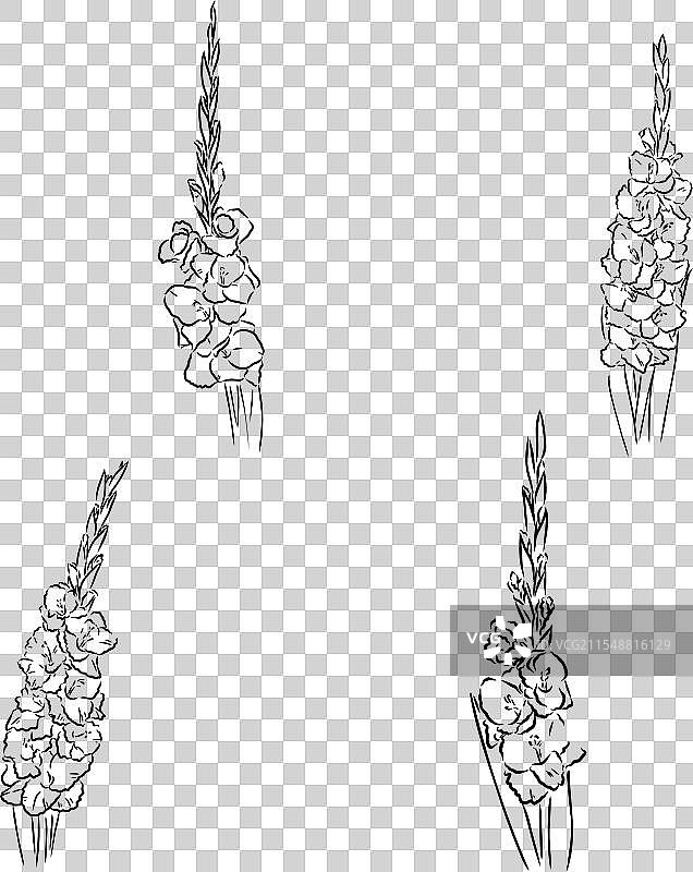 手绘轮廓的亡灵节花朵图片素材