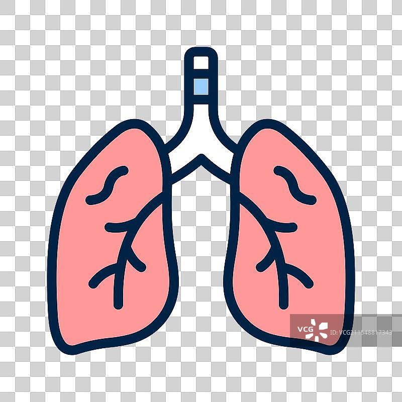 肺部图片素材