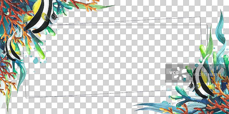 横向框架中的热带鱼和海洋珊瑚图片素材