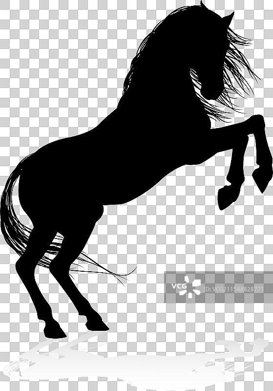 马的动物剪影图片素材