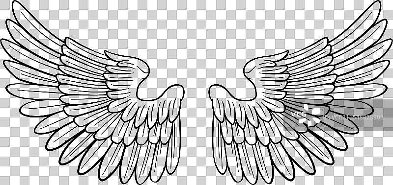 天使或鹰的翅膀成对图片素材