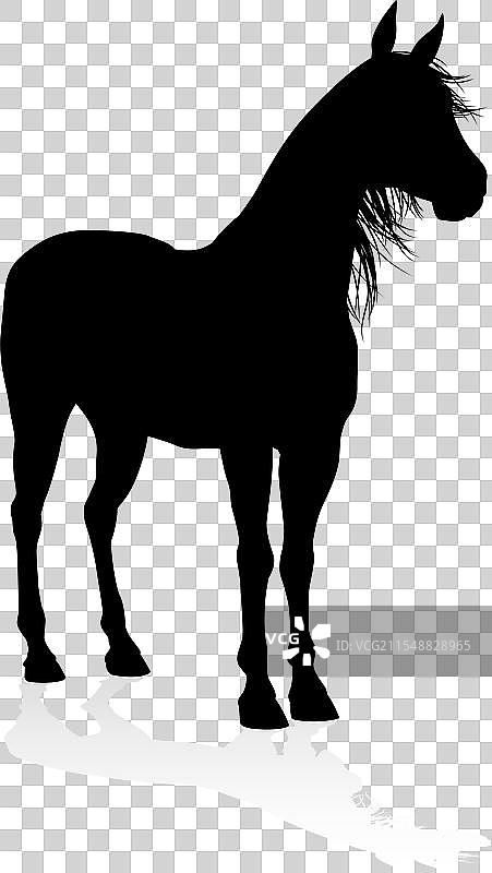 马的动物剪影图片素材