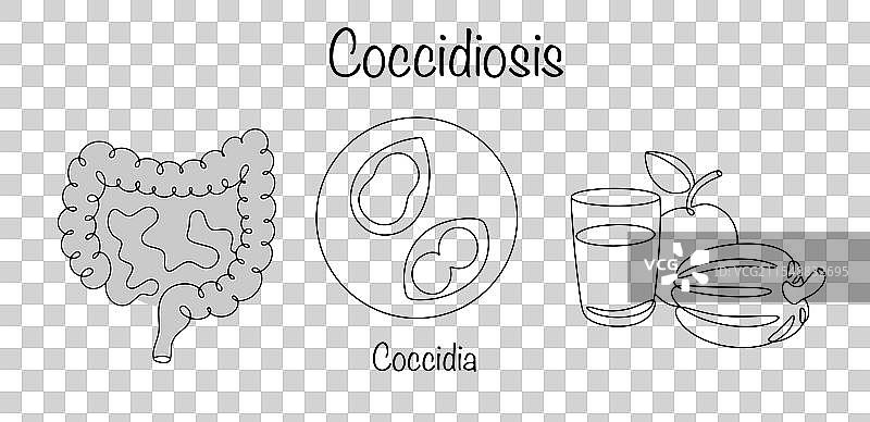 球虫病图片素材