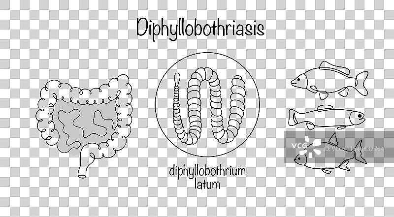 双头绦虫病图片素材