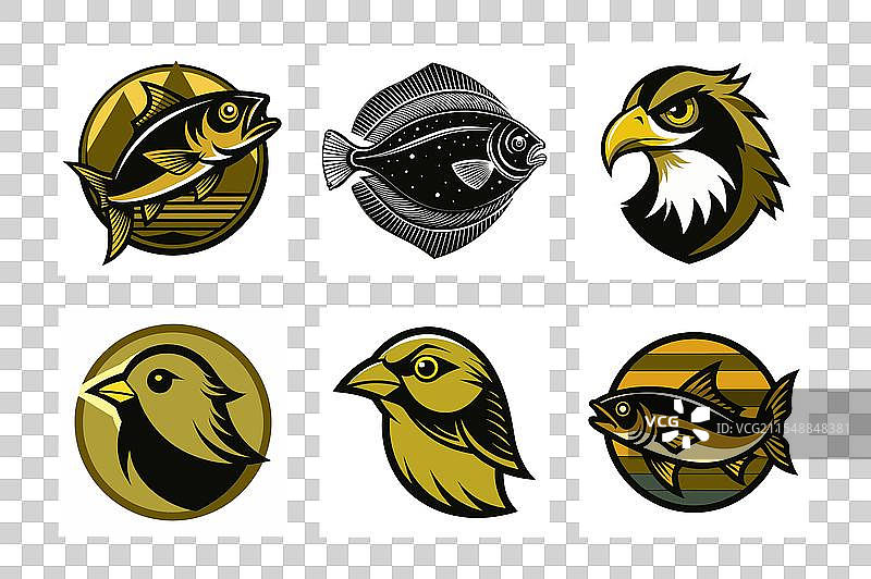 金丝雀、鱼鹰和鲱鱼比目鱼图片素材