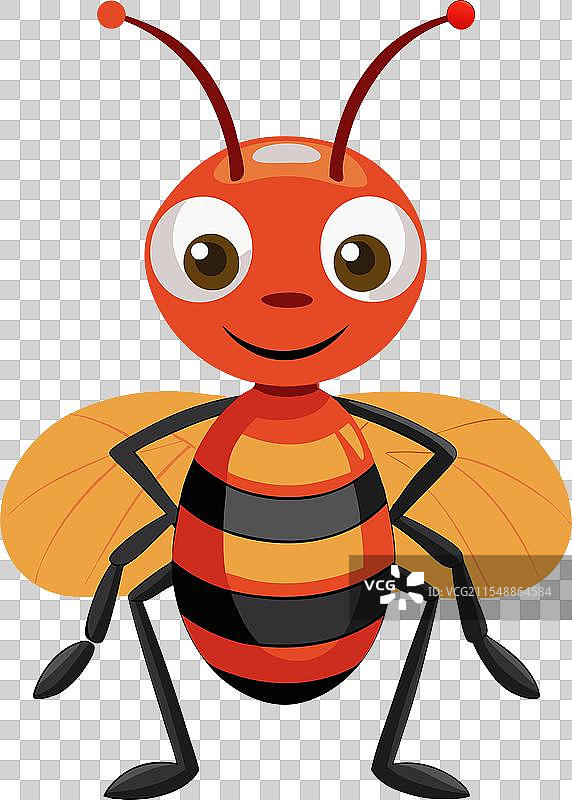 优雅的蚂蚁图片素材