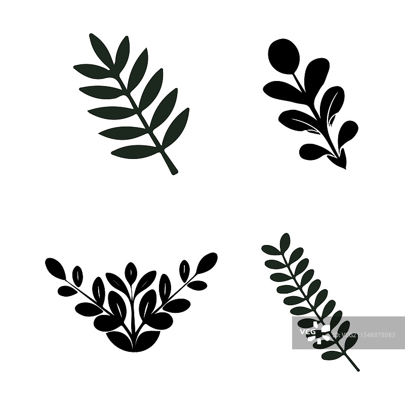 优雅的黑白植物设计用于Vario图片素材