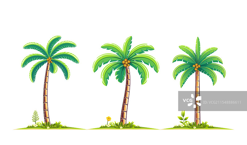 手绘的棕榈树图片素材