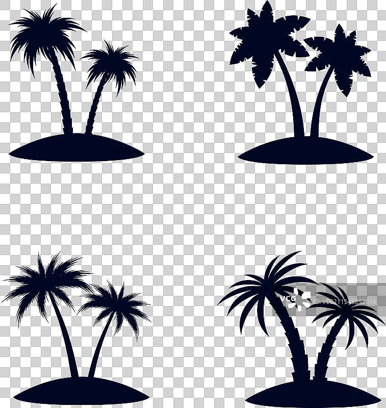 热带棕榈树图片素材