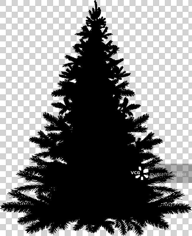 逼真的松树剪影圣诞树图片素材