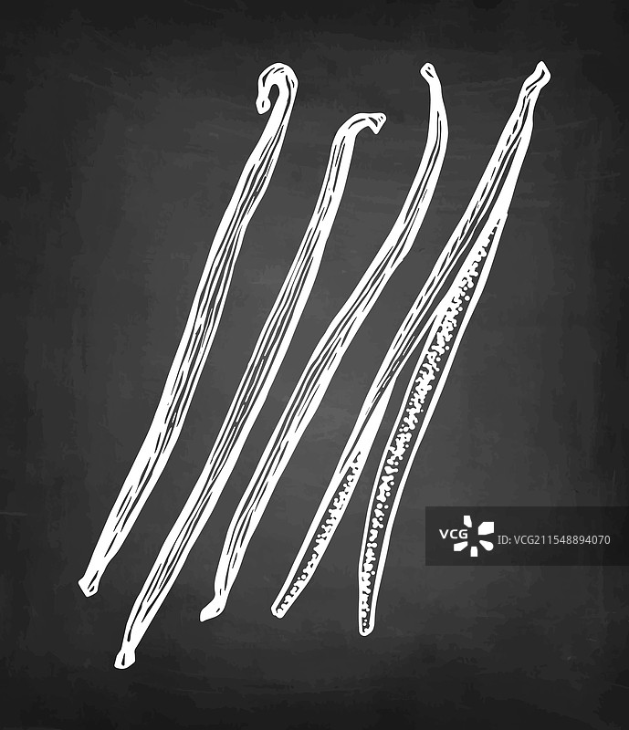 香草香料粉笔素描图片素材