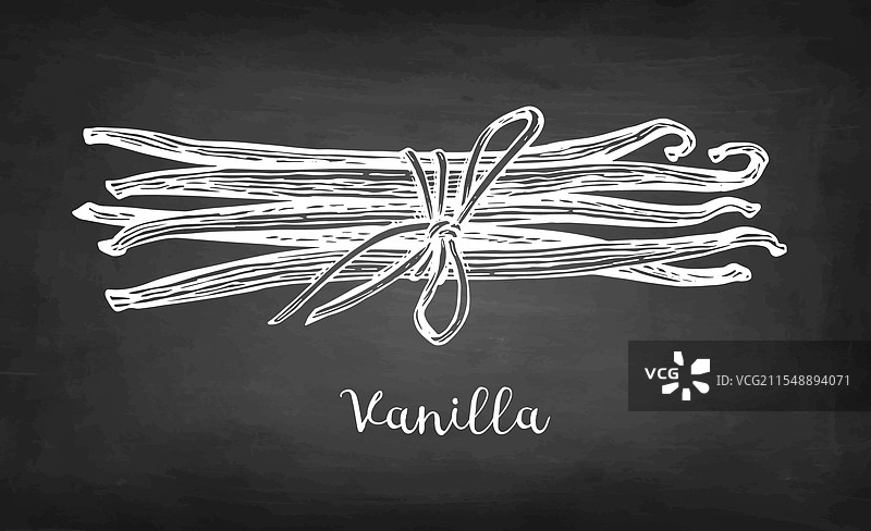 香草干豆束的粉笔素描图片素材