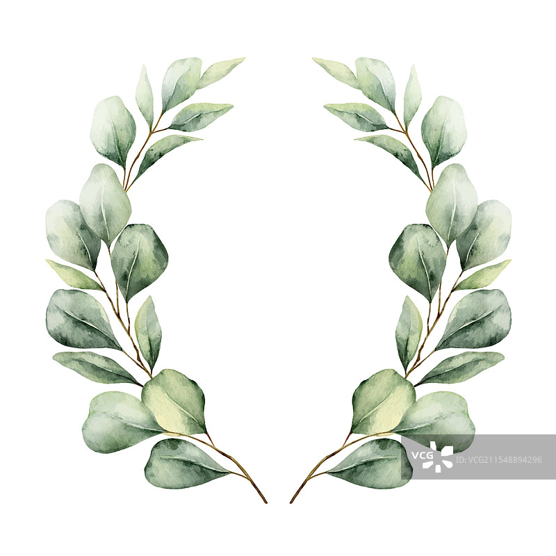 带有绿色桉树的水彩花环图片素材