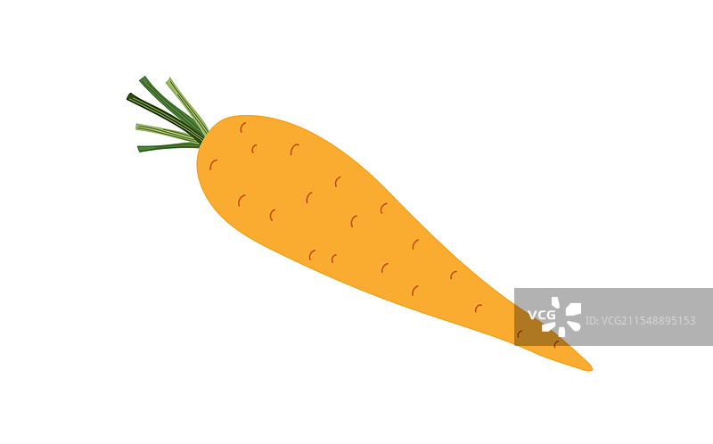 新鲜的橙色胡萝卜简单手绘图片素材
