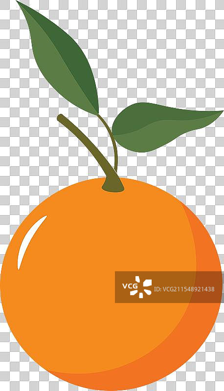 卡通橙子水果图片素材