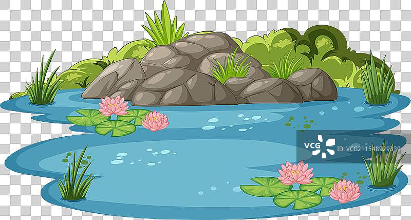 宁静的水景，岩石和睡莲相映成趣图片素材