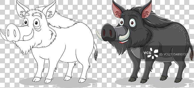 一只被素描和上色的疣猪图片素材