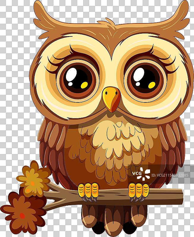 可爱的棕色猫头鹰图片素材