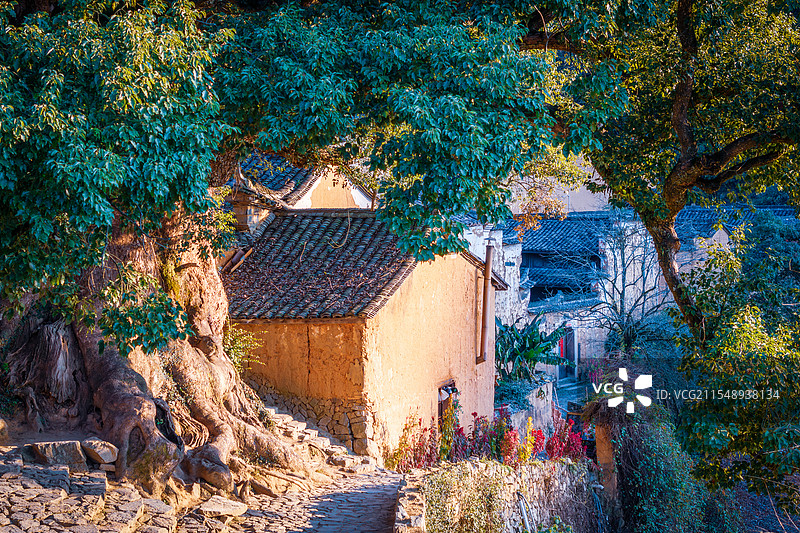 在浙江寻秋|一组摄于晚秋浙江的组图图片素材
