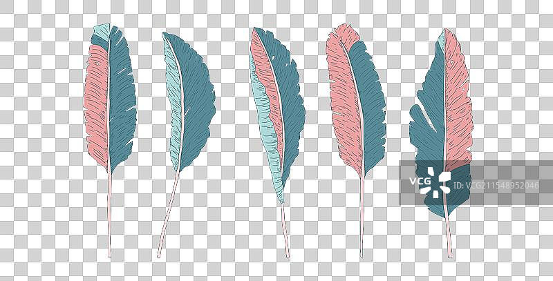 一组手绘的热带风格香蕉叶图片素材