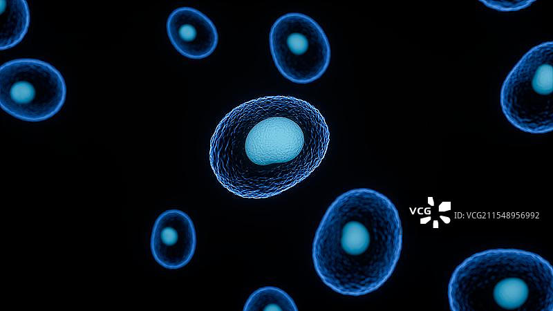细胞世界的微观奇观 细胞与生物科技概念3D渲染图片素材