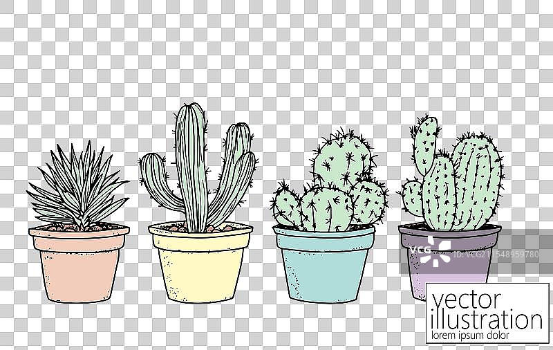 一组仙人掌和多肉植物的室内植物图片素材