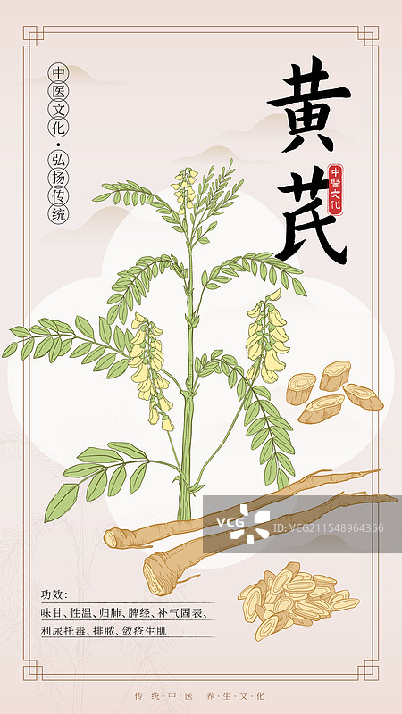 中医药黄芪插画海报图片素材