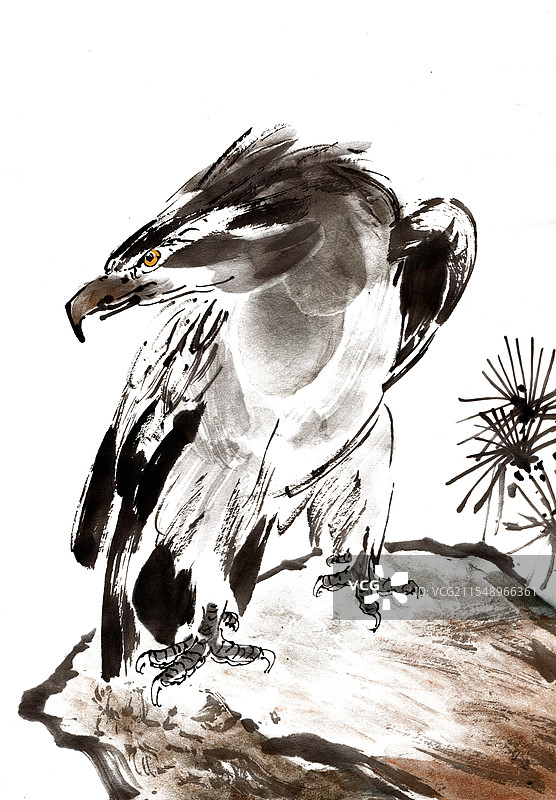 岩石上的鹰图片素材