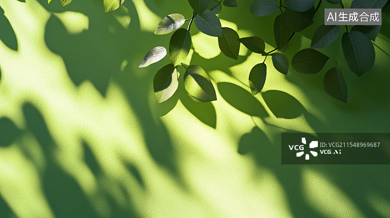 【AI数字艺术】墙上叶子的光影图片素材