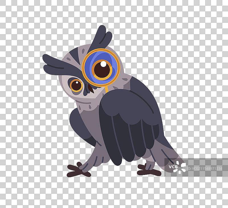 猫头鹰通过放大镜寻找猎物图片素材