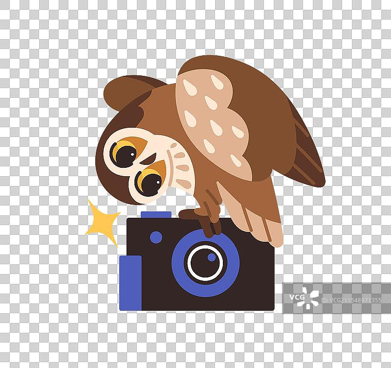 快乐的猫头鹰用闪光灯拍照，搞笑又有趣图片素材