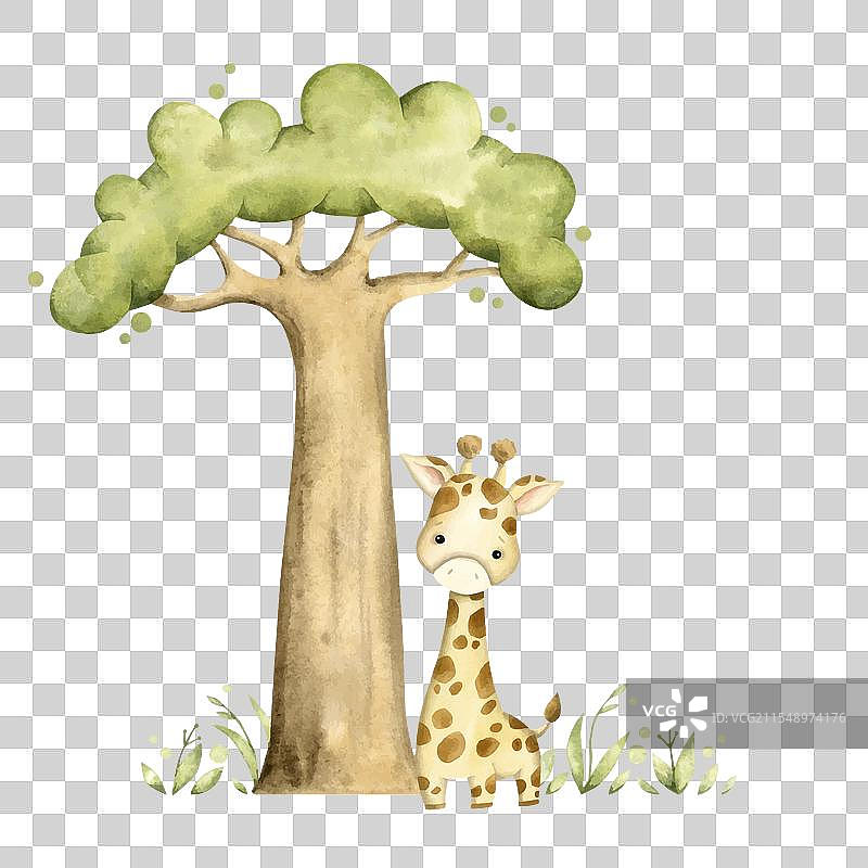 手绘水彩风格的野生动物园与小长颈鹿图片素材