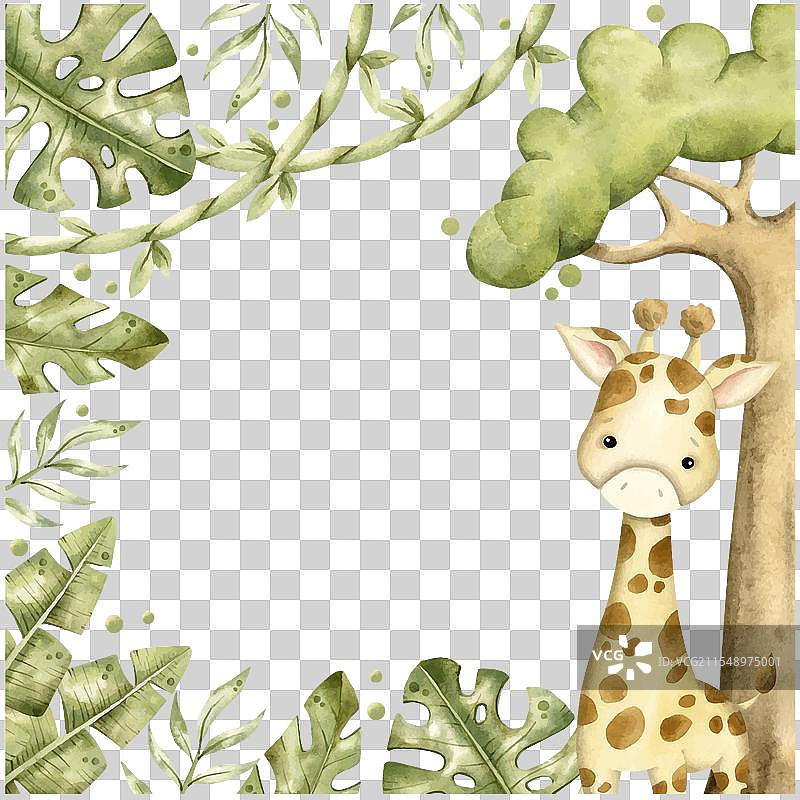 手绘水彩风格的婴儿野生动物框架图片素材