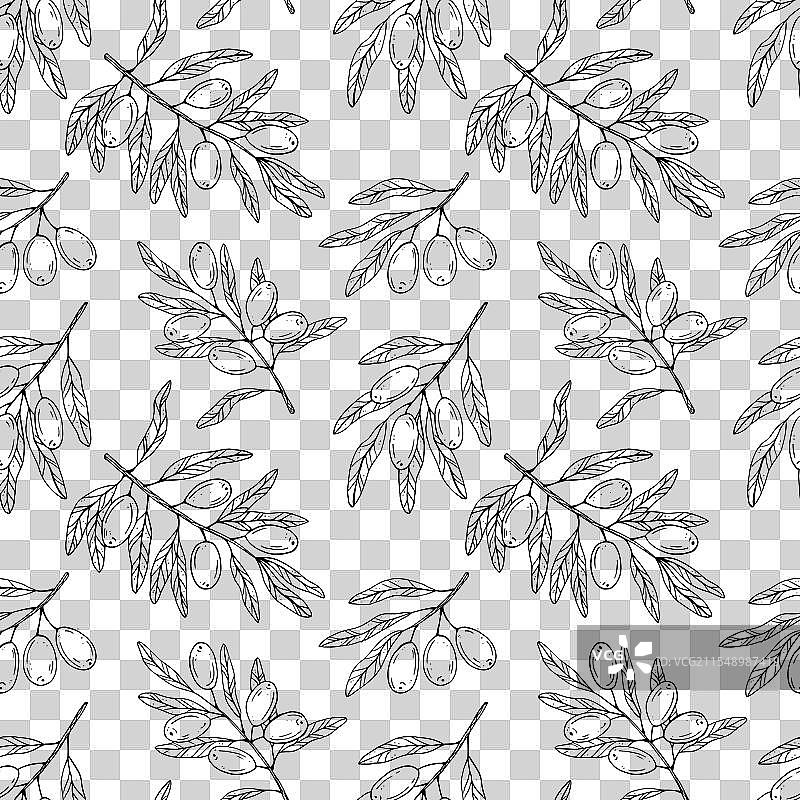 无缝图案，带有植物橄榄枝图片素材