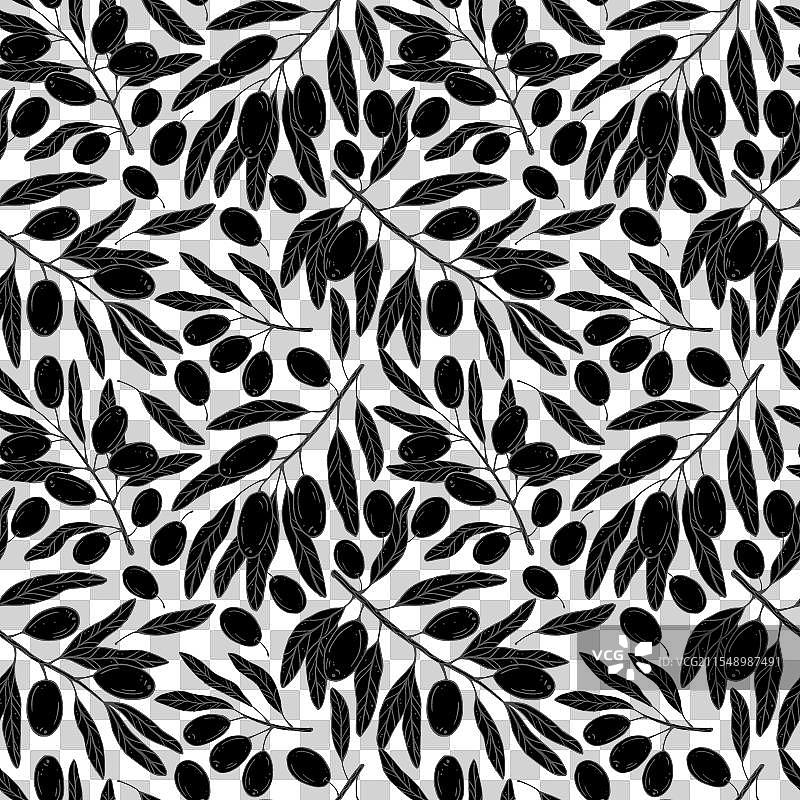 无缝图案，带有植物橄榄枝图片素材