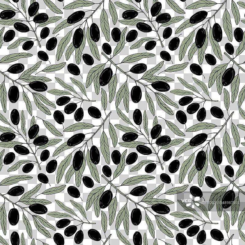 无缝图案，带有植物橄榄枝图片素材
