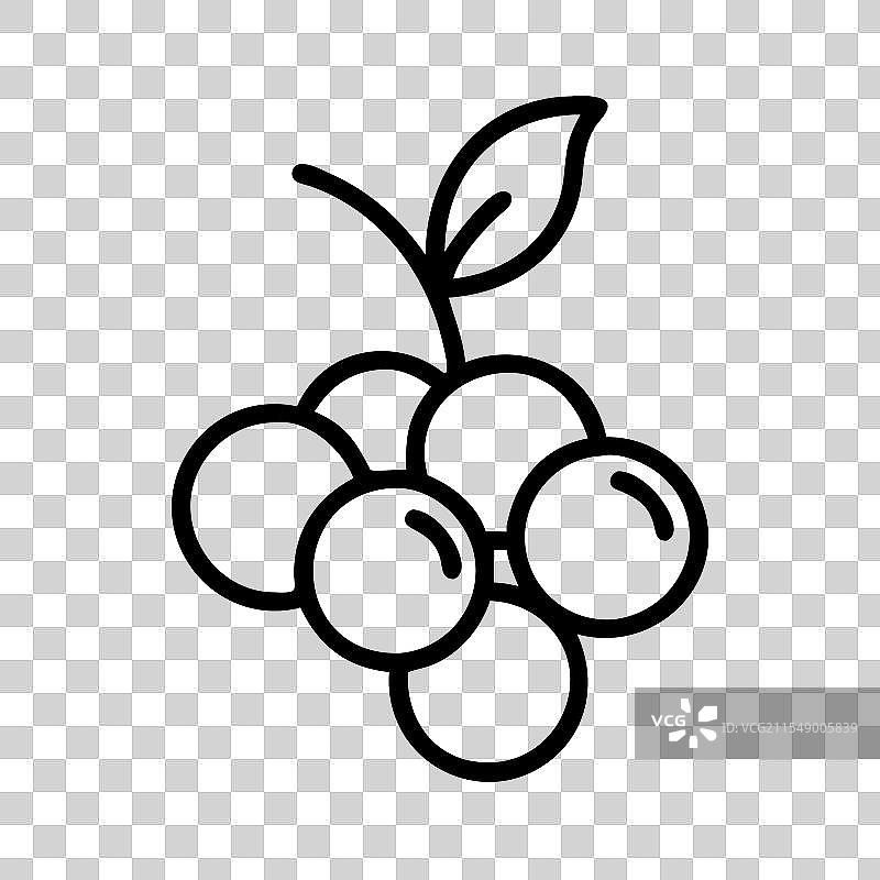 巴西莓图标 水果图标图片素材