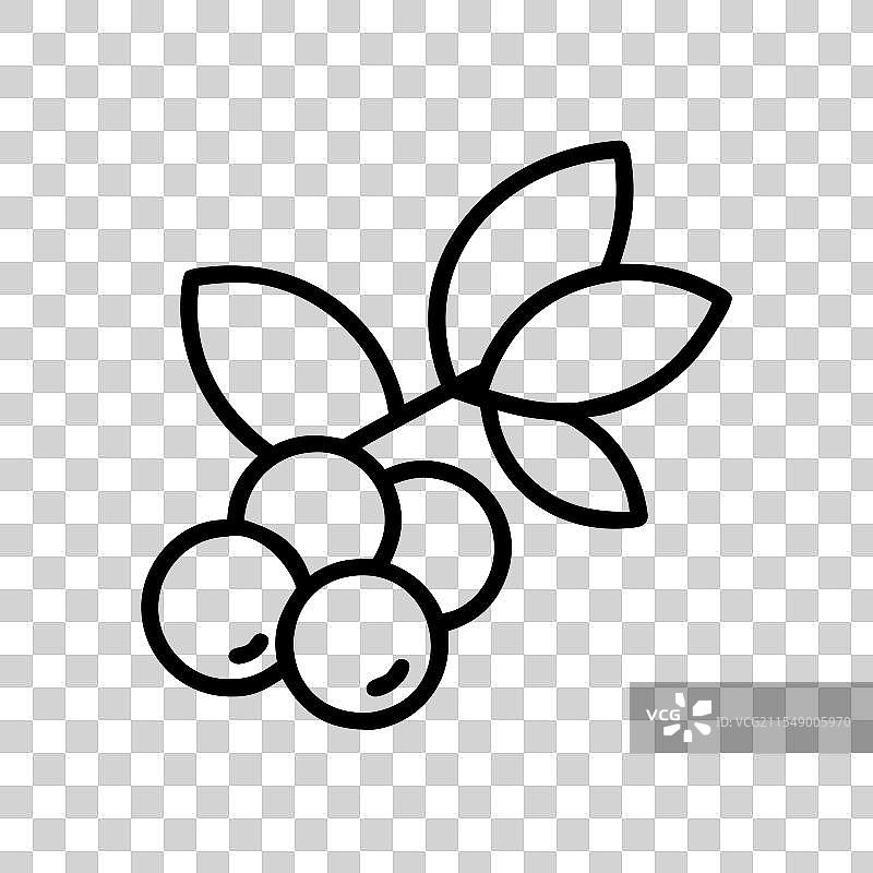 巴西莓图标 水果图标图片素材