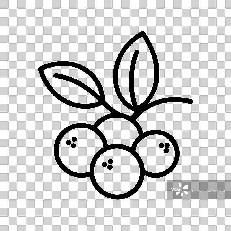 巴西莓图标 水果图标图片素材