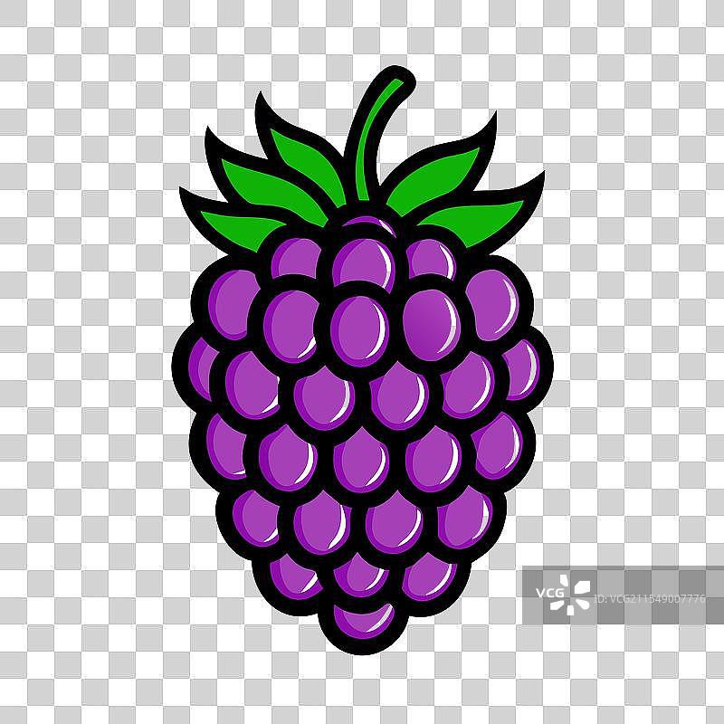 博伊森莓图标 水果图标图片素材