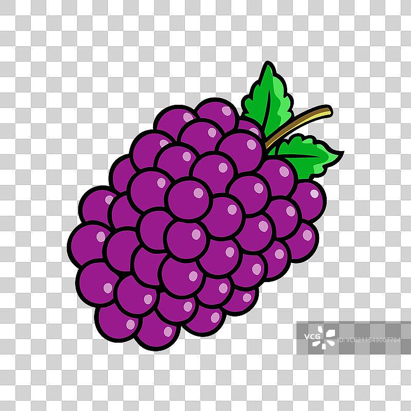 博伊森莓图标 水果图标图片素材