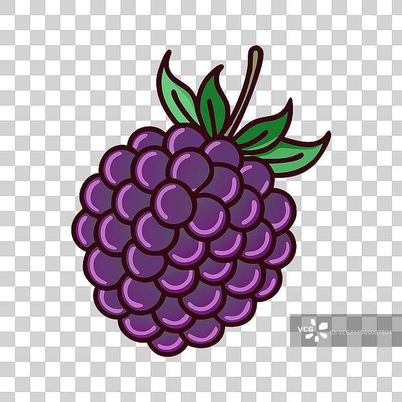 博森莓图标 水果图标图片素材